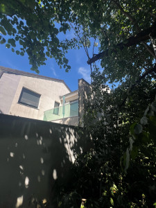 Photo de galerie - La branche élaguer client content et le voisin aussi 