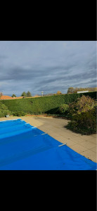 Photo de galerie - Taille de haies et d'arbustes