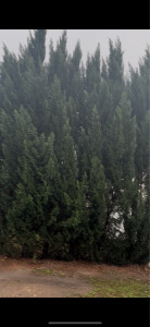 Photo de galerie - Avant 