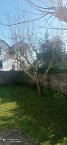 Photo de galerie - Elagage et coupe d'arbres