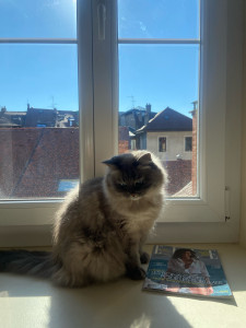 Photo de galerie - Pet sitting de 3 jours avec Romy ! 