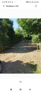 Photo de galerie - Nettoyage des abords d'un petit étang : tonte de l'herbe, débroussaillage et taille des arbres.