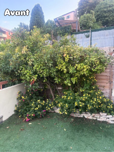 Photo de galerie - Paysagiste - Aménagement du jardin