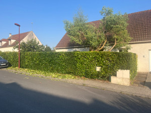 Photo de galerie - Taille de haies à domicile +de 10m