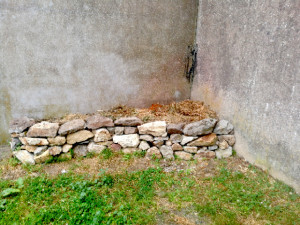 Photo de galerie - Paysagiste - Aménagement du jardin