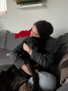 Photo de galerie - Garde chien