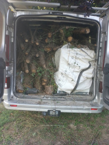 Photo de galerie - évacuation de bois 