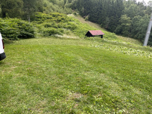 Photo de galerie - Tonte