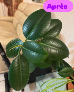 Photo de galerie - Ménage