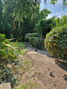 Photo de galerie - Paysagiste - Aménagement du jardin