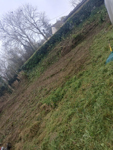 Photo de galerie - Enlevage d'un buisson de ronce et un coup de propre 