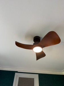 Photo de galerie - Ventilateur (usage domestique)