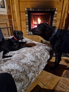 Photo de galerie - Ava et sa copine