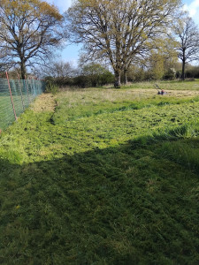 Photo de galerie - Débroussaillage et tonte sainte anne de brivet