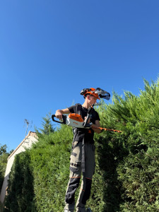 Photo de galerie - Taille de Cyprès 