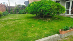 Photo de galerie - Entretien du jardin