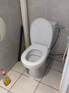Photo de galerie - Changement de WC