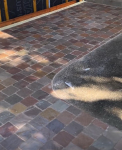 Photo de galerie - Pavage