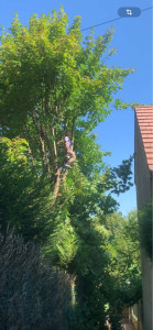 Photo de galerie - 10 mètres de haut !