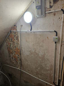 Photo de galerie - Installation d'un point d'éclairage dans une cave