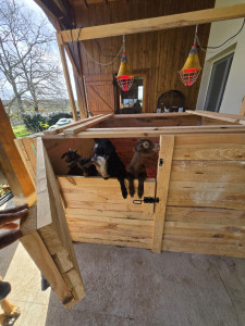 Photo de galerie - Bricolage et multi services