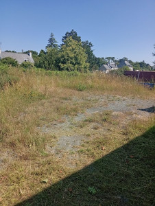 Photo de galerie - Tonte de pelouse - Débroussaillage