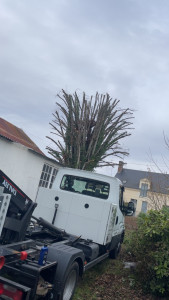 Photo de galerie - Elagage et coupe d'arbres