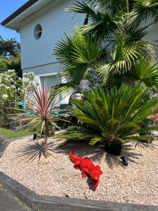 Photo de galerie - Jardinier