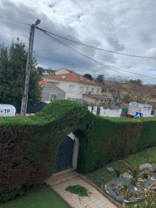 Photo de galerie - Taille de haies et d’arbustes est courbe très bien taillée 