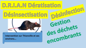 Photo de galerie - Dératisation