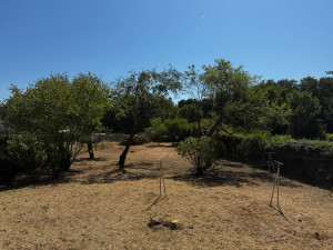 Photo de galerie - Défrichage complet d’un terrain