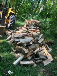 Photo de galerie - Peux tout faire 