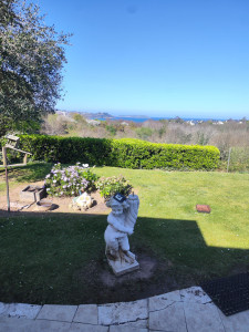 Photo de galerie - Tonte pelouse