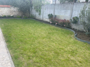 Photo de galerie - Tonte de pelouse 