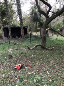 Photo de galerie - Peinture - Tapisserie