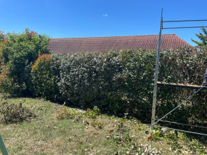 Photo de galerie - Tonte de pelouse - Débroussaillage