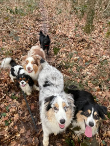 Photo de galerie - Promenade du groupe en garde 