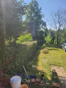 Photo de galerie - Taille de haies et d'arbustes