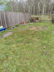 Photo de galerie - Paysagiste - Aménagement du jardin