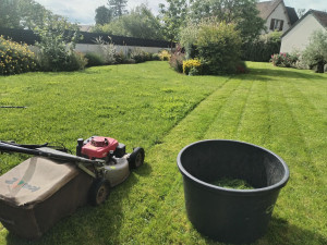 Photo de galerie - Tonte et debroussaillage 