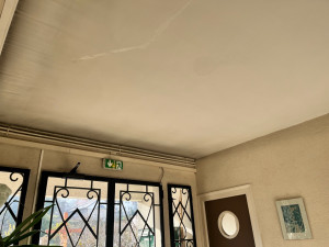 Photo de galerie - Dépoussiérage des plafonds et murs 