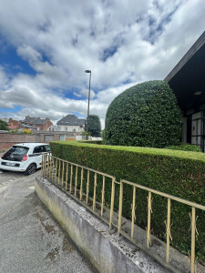 Photo de galerie - Taille de haie de Thuyas et d’arbustes 