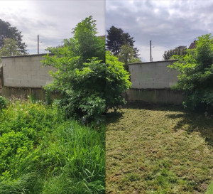 Photo de galerie - Tonte de pelouse - Débroussaillage