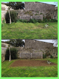 Photo de galerie - Petit travaux de jardinage.
CESU Accepté ✅