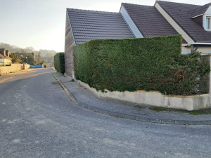 Photo de galerie - Taille de haie 