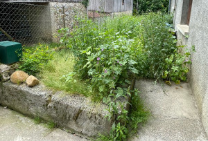 Photo de galerie - Jardin / Espace vert