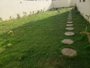 Photo de galerie - Voila