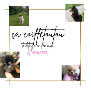 Photo de galerie - Toilettage