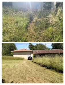 Photo de galerie - Débrousaillage 