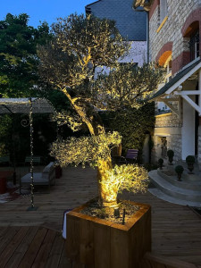 Photo de galerie - Installation d'éclairage extérieur pour embellir votre jardin ou terrasse 